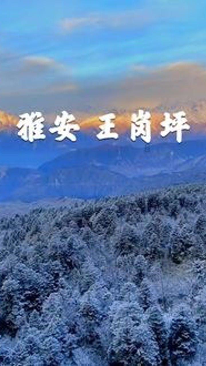 豆娃勇士